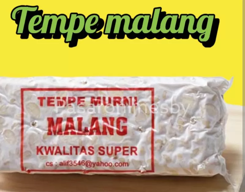 Tempe Malang